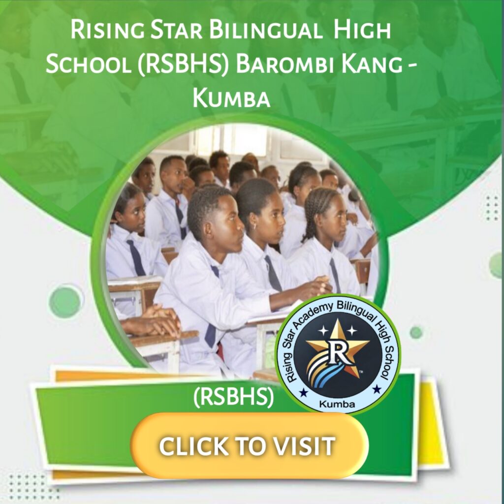 20251007 102034 1024x1024