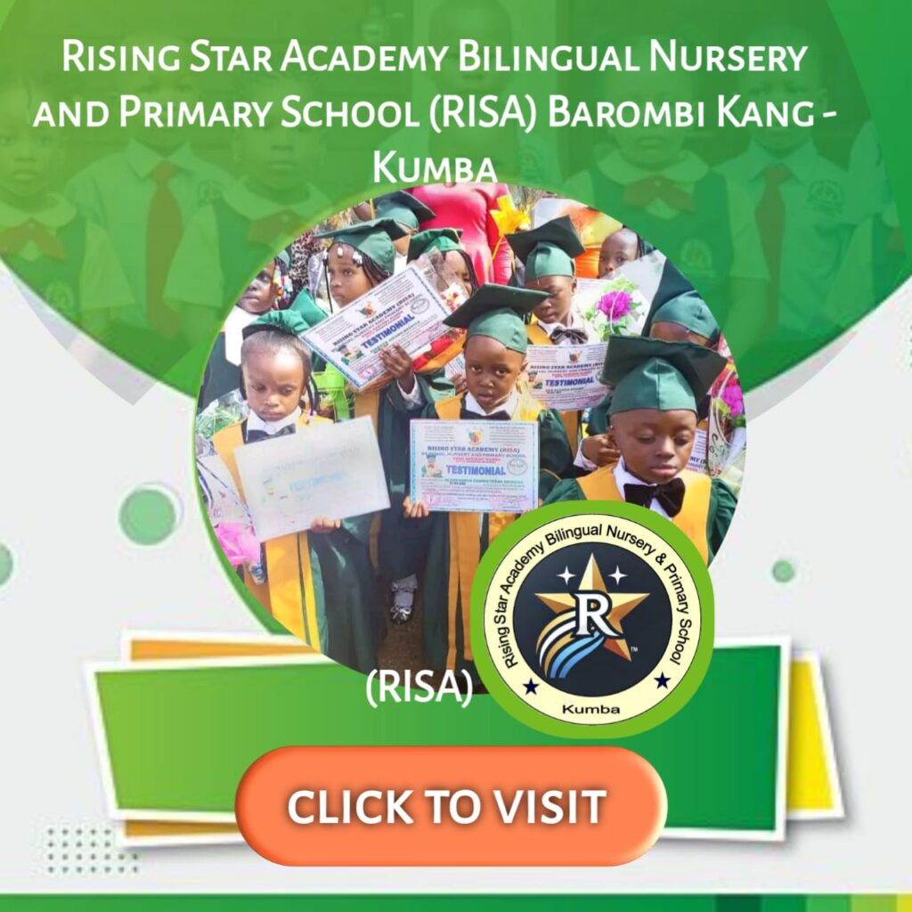 whatsapp image 2025 11 22 at 10.29.03 pm (1)