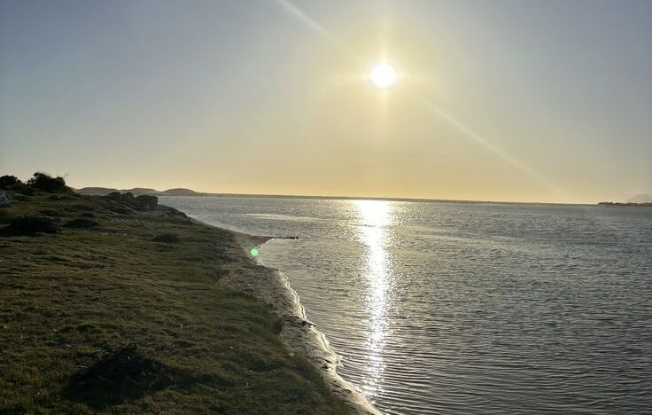 whatsapp image 2025 11 22 at 11.59.56 am